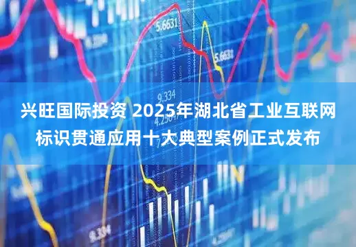 兴旺国际投资 2025年湖北省工业互联网标识贯通应用十大典型案例正式发布